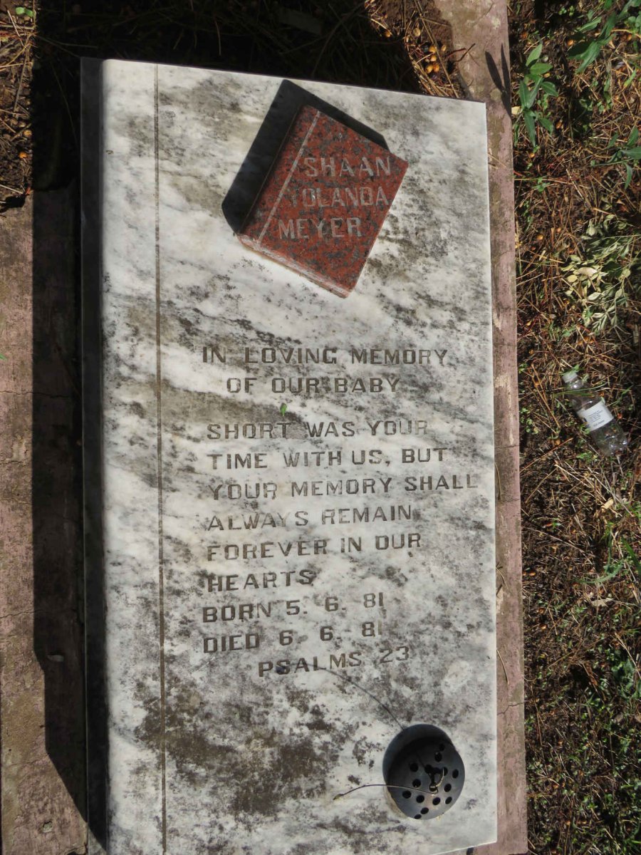 MEYER Shaan Yolanda 1981-1981