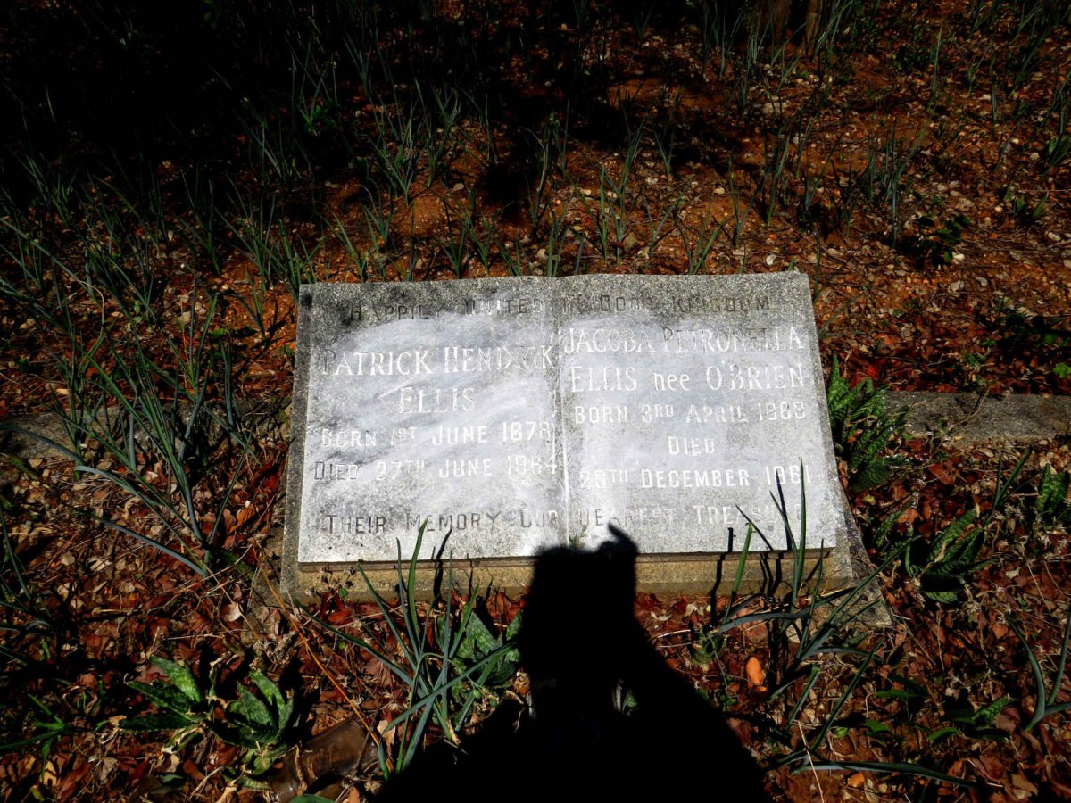 ELLIS Patrick Hendrik 1878-1964 & Jacoba Petronella O'BRIEN 1888-1961