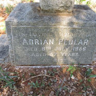 PEDLAR Adrian -1956