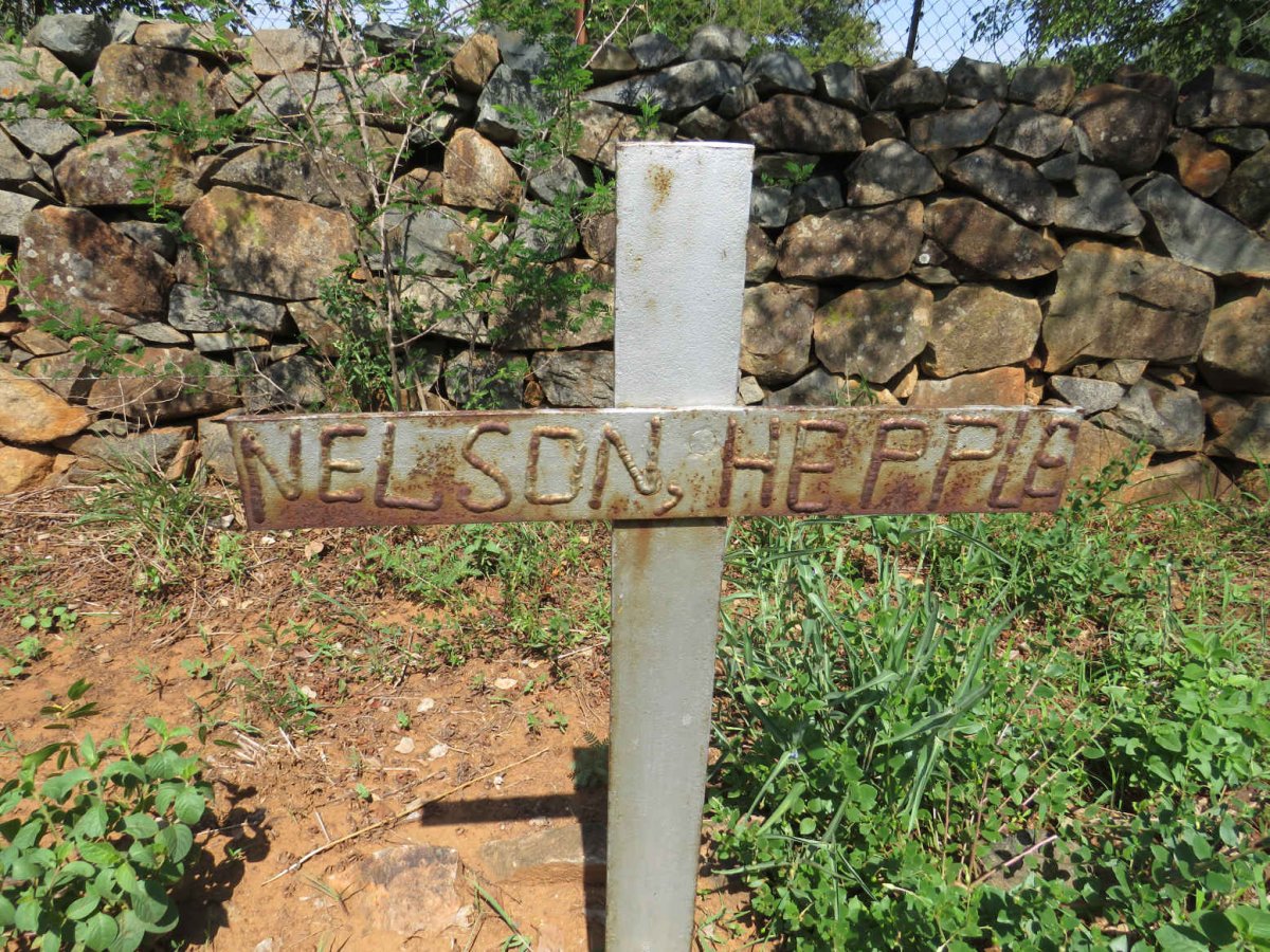 HEPPLE Nelson