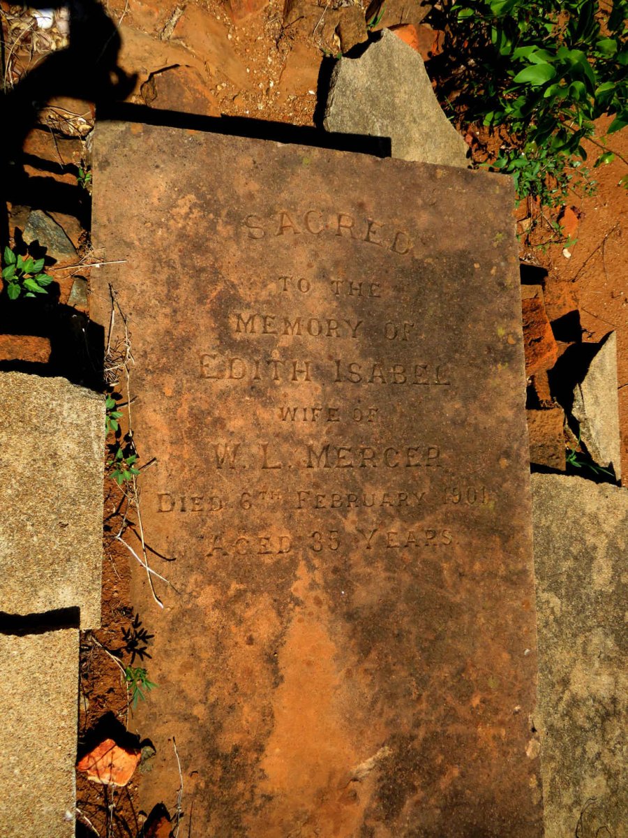 MERCER Edith Isabel -1901