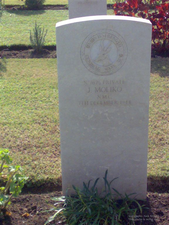 MOLIKO J. -1944