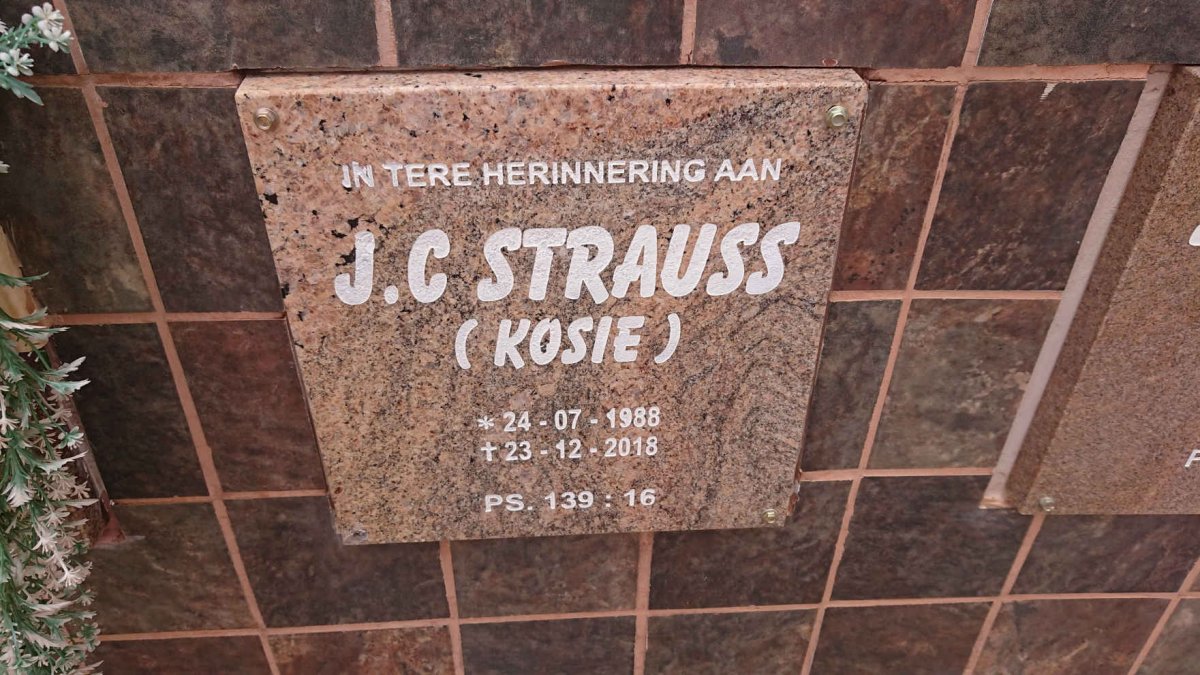 STRAUSS J.C. 1988-2018