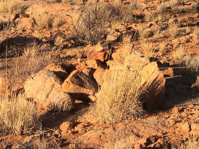 Unknown San grave