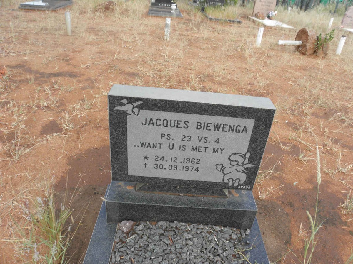 BIEWENGA Jacques 1962-1974