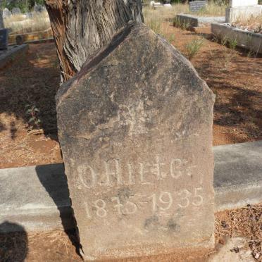 HIRTE O. 1875-1935