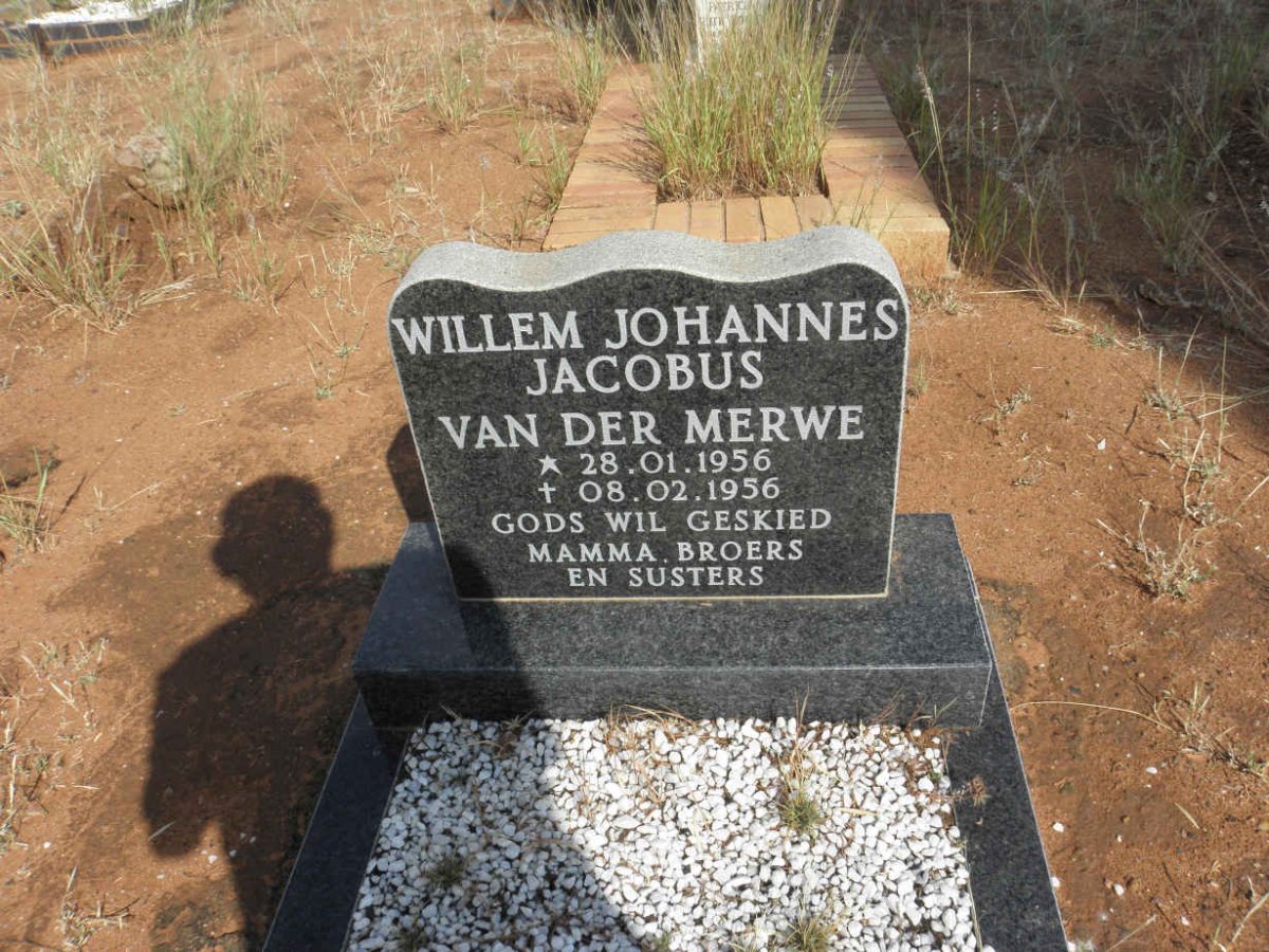 MERWE Willem Johannes Jacobus, van der 1956-1956
