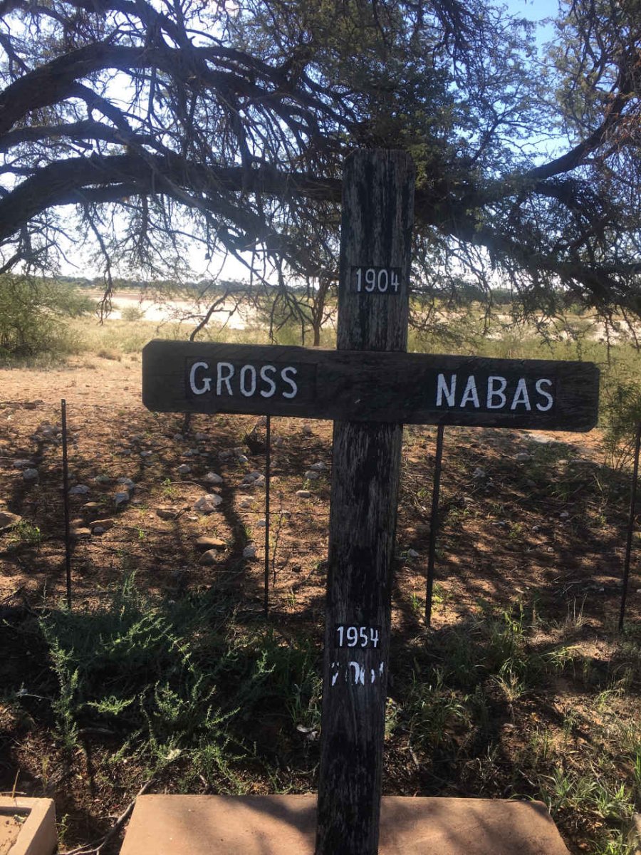 NABAS Gross 1904-1954
