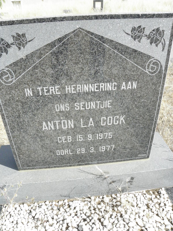 COCK Anton, la 1975-1977