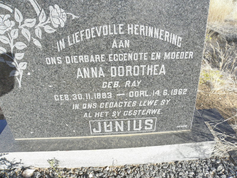 JUNIUS Anna Dorothea nee RAY 1883-1962