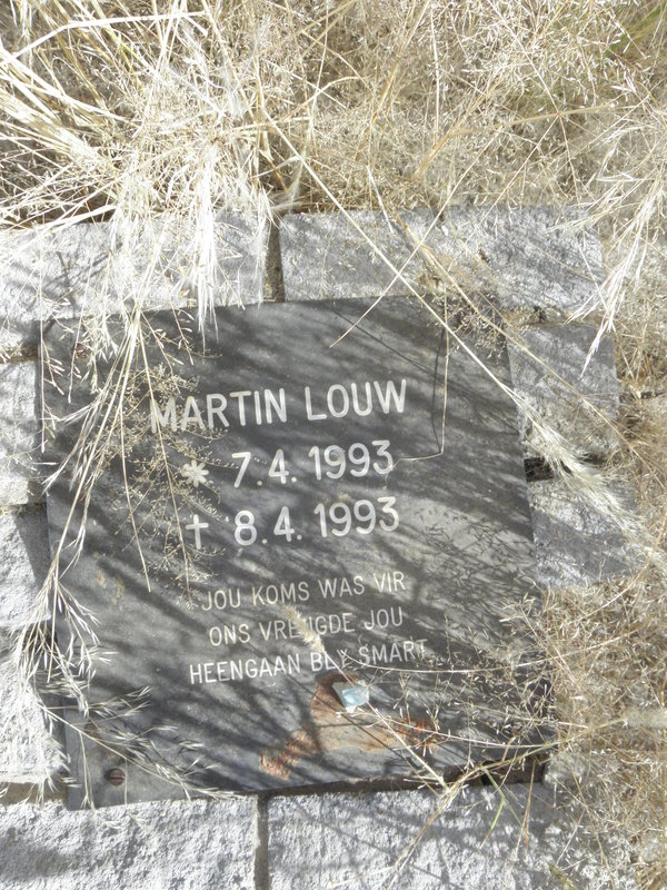 LOUW Martin 1993-1993
