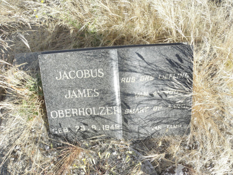 OBERHOLZER Jacobus James 1949-