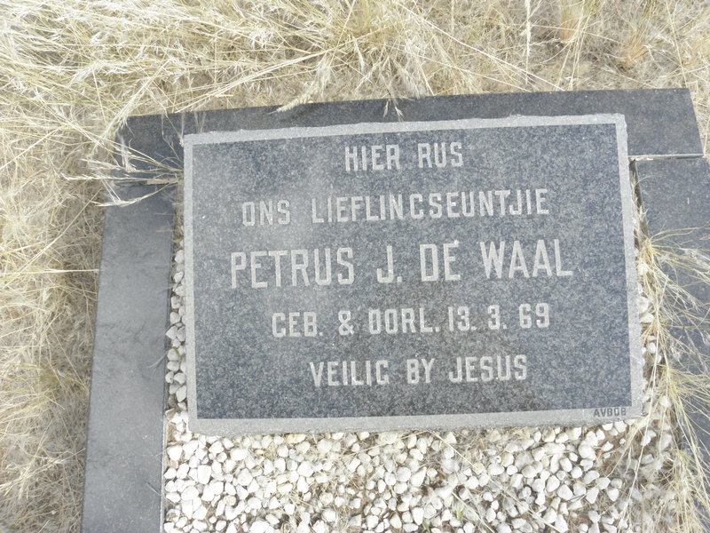 WAAL Petrus J., de 1969-1969