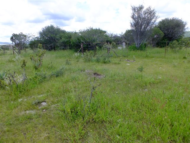 1. Overview