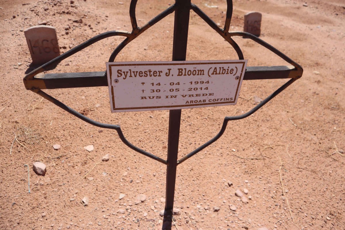 BLOOM Sylvester J. 1994-2014 