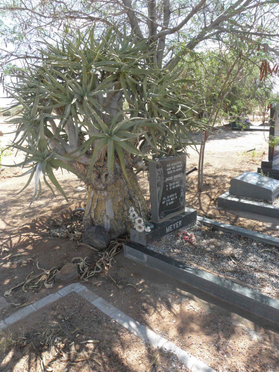 4. Overview