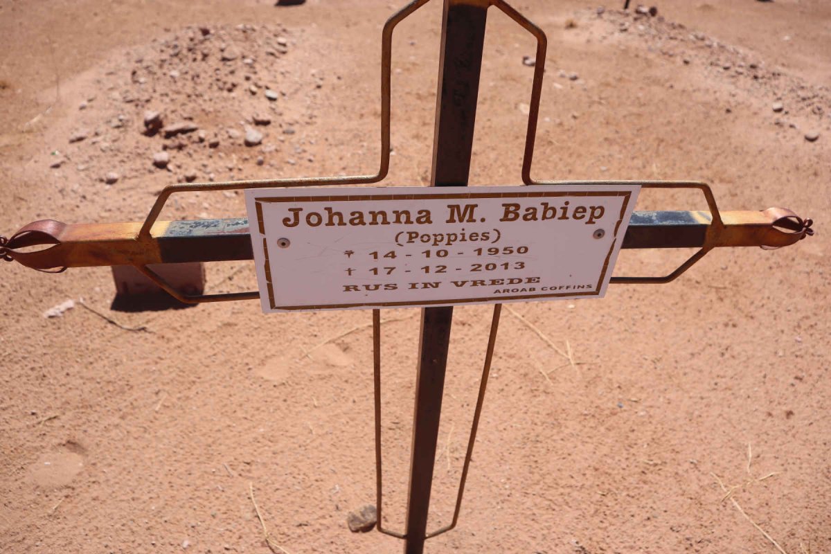 BABIEP Johanna M. 1950-2013