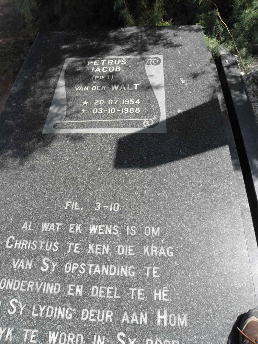 WALT Petrus Jacob, van der 1954-1988