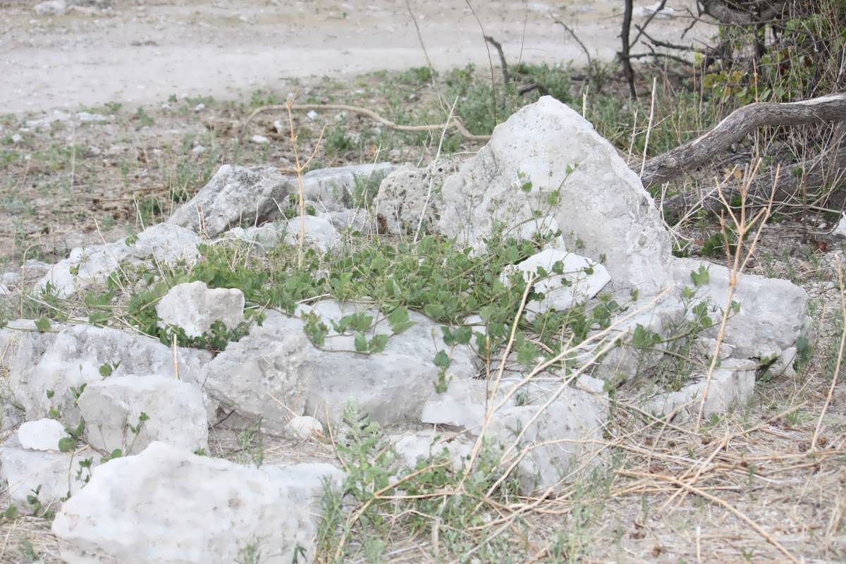? Unmarked Grave