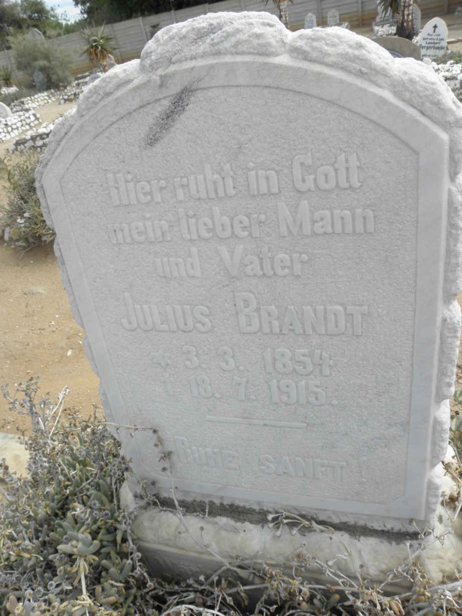 BRANDT Julius 1854-1915