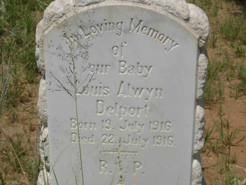 DELPORT Louis Alwyn 1916-1916