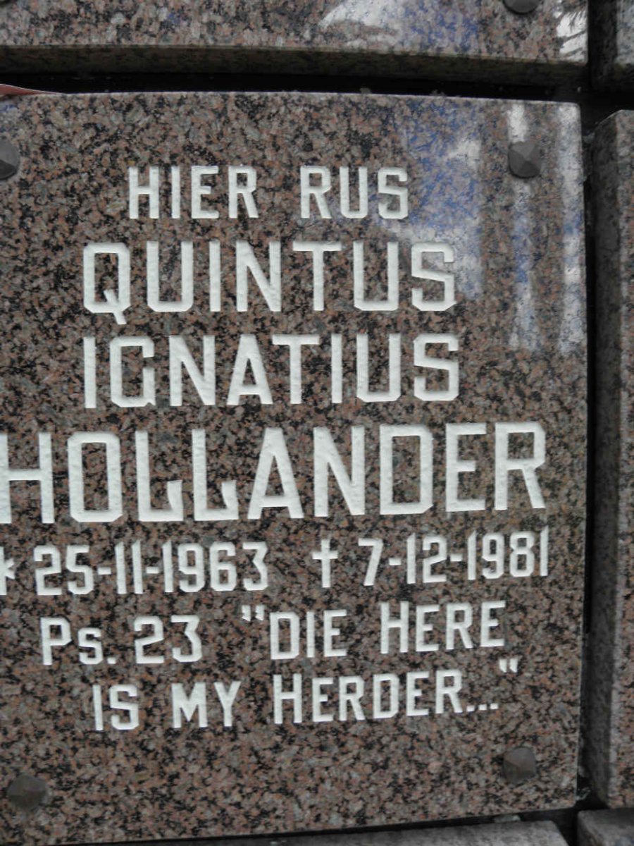 HOLLANDER Quintus Ignatius 1963-1981