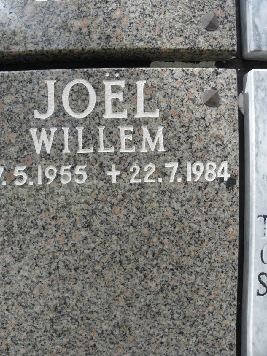 JOËL Willem 1955-1984