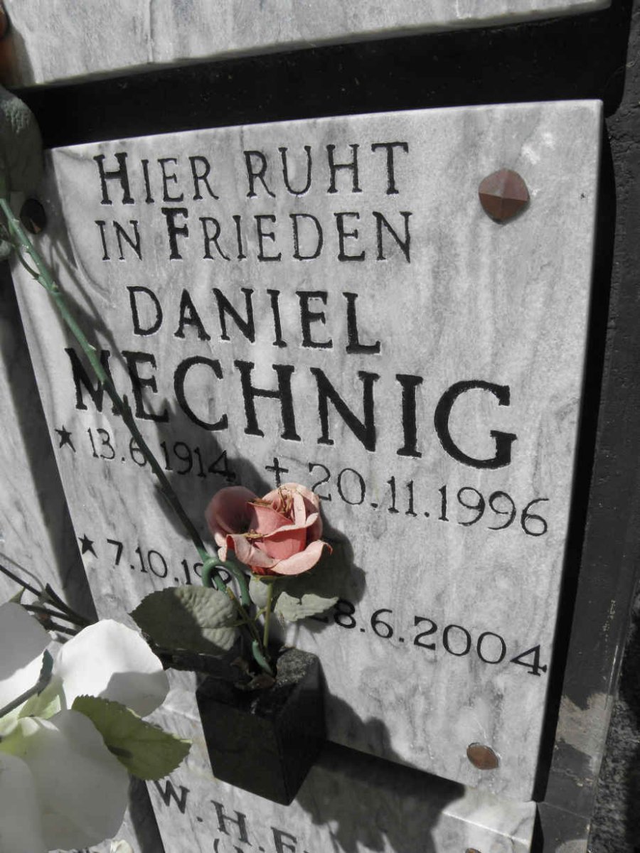 MECHNIG Daniel 1996-2004
