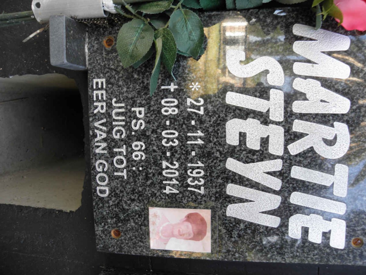 STEYN Martie 1937-2014