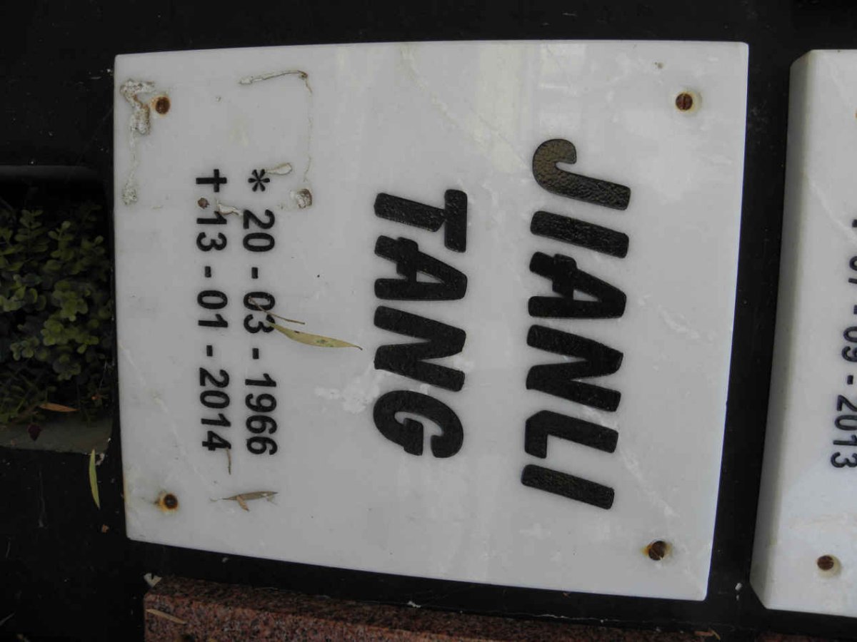 TANG Jianli 1966-2014