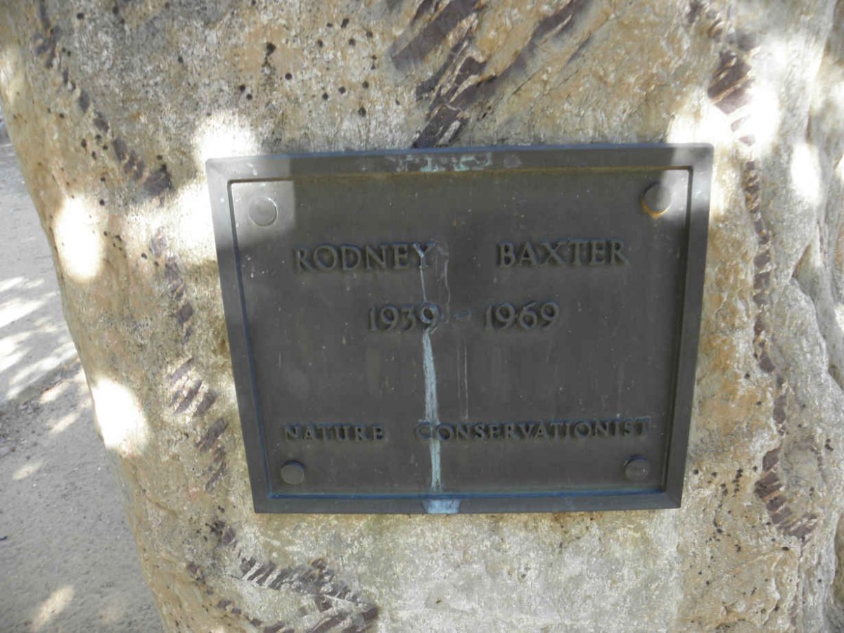 BAXTER Rodney 1939-1969