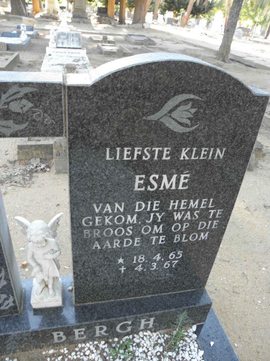 BERGH Esme 1965-1967