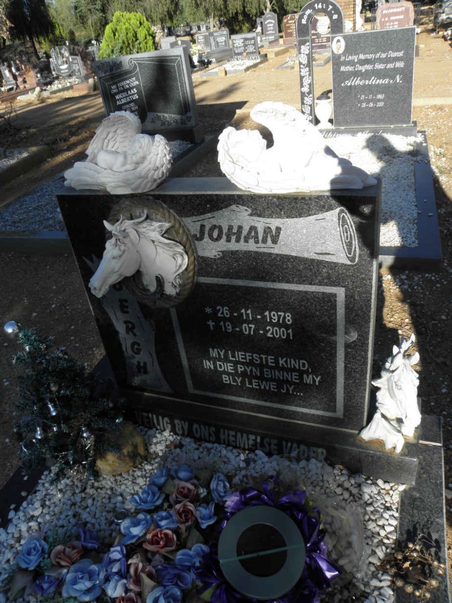 BERGH Johan 1978-2001