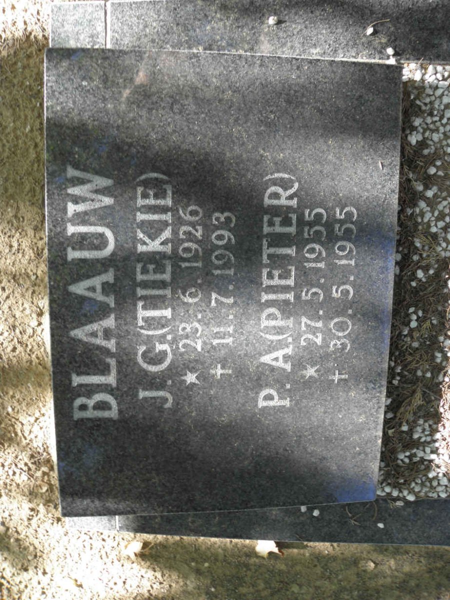BLAAUW J.G. 1926-1993 :: BLAAUW P.A. 1955-1955