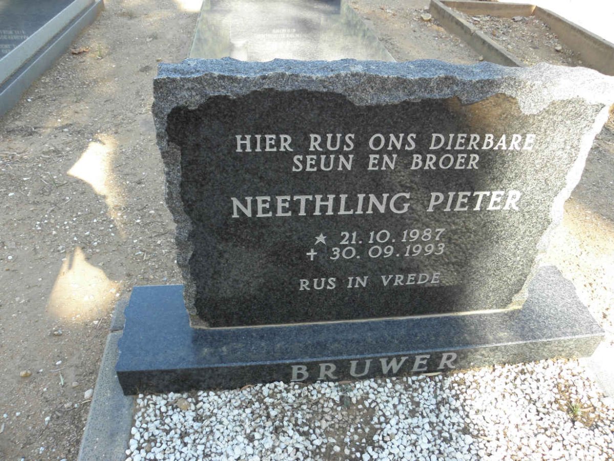 BRUWER Neethling Pieter 1987-1993