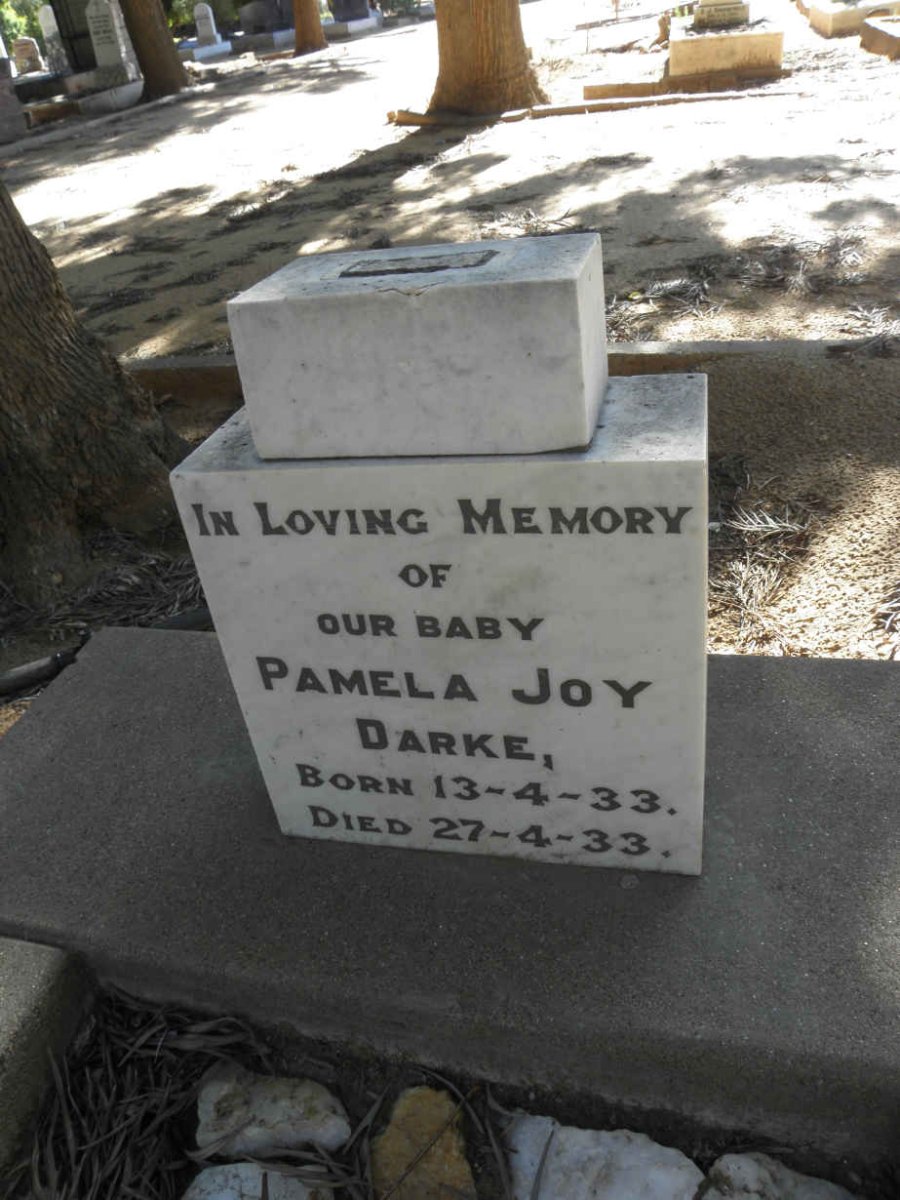 DARKE Pamela Joy 1933-1933