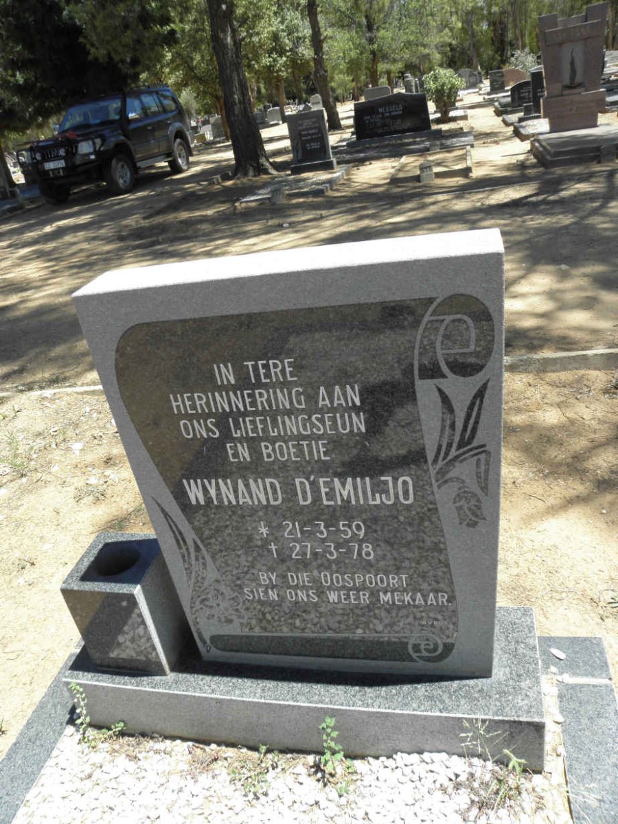 D'EMILJO Wynand 1959-1978