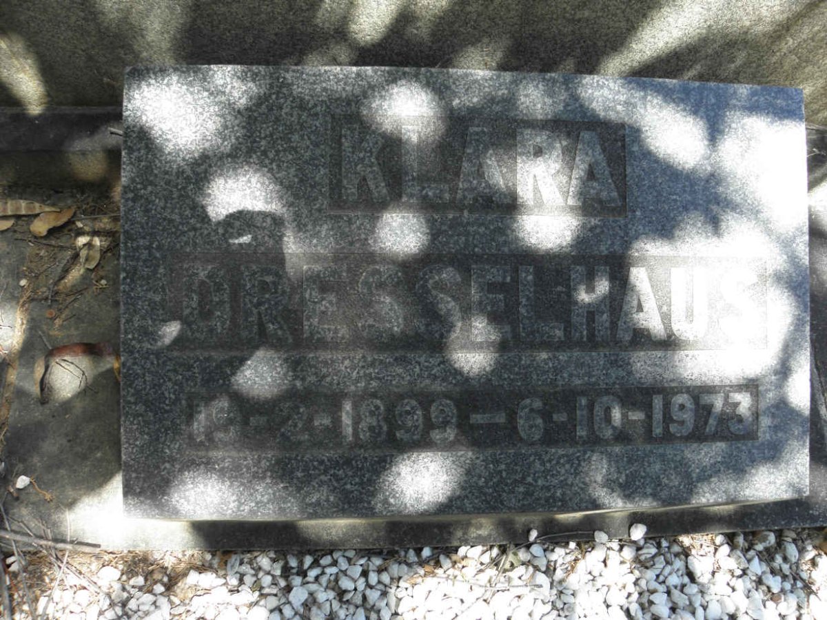 DRESSELHAUS