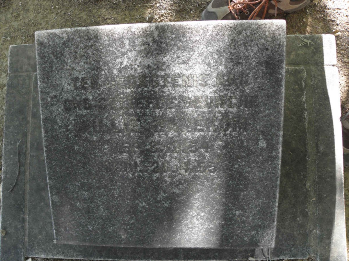 HANEKOM L? 1868-1955