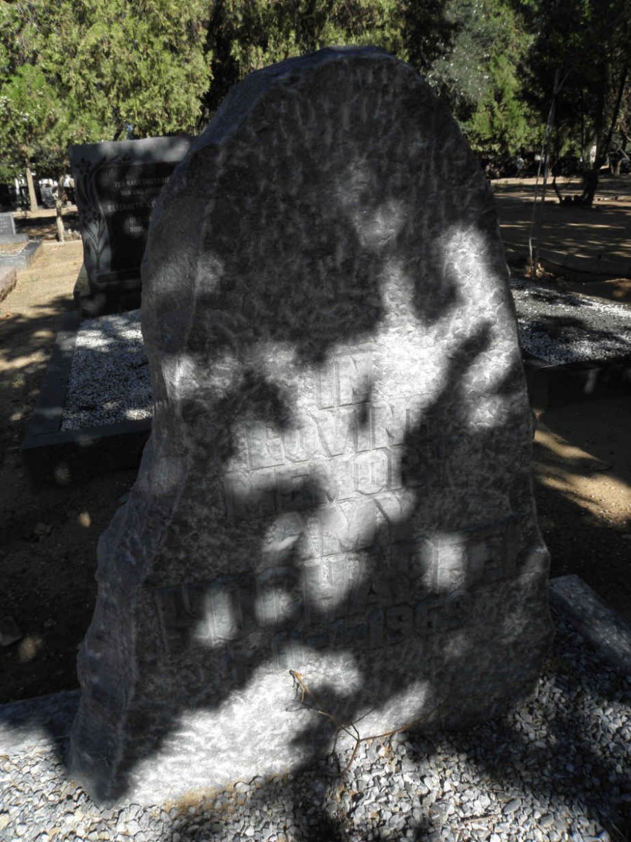HOLCHAPFEL Amy -1969