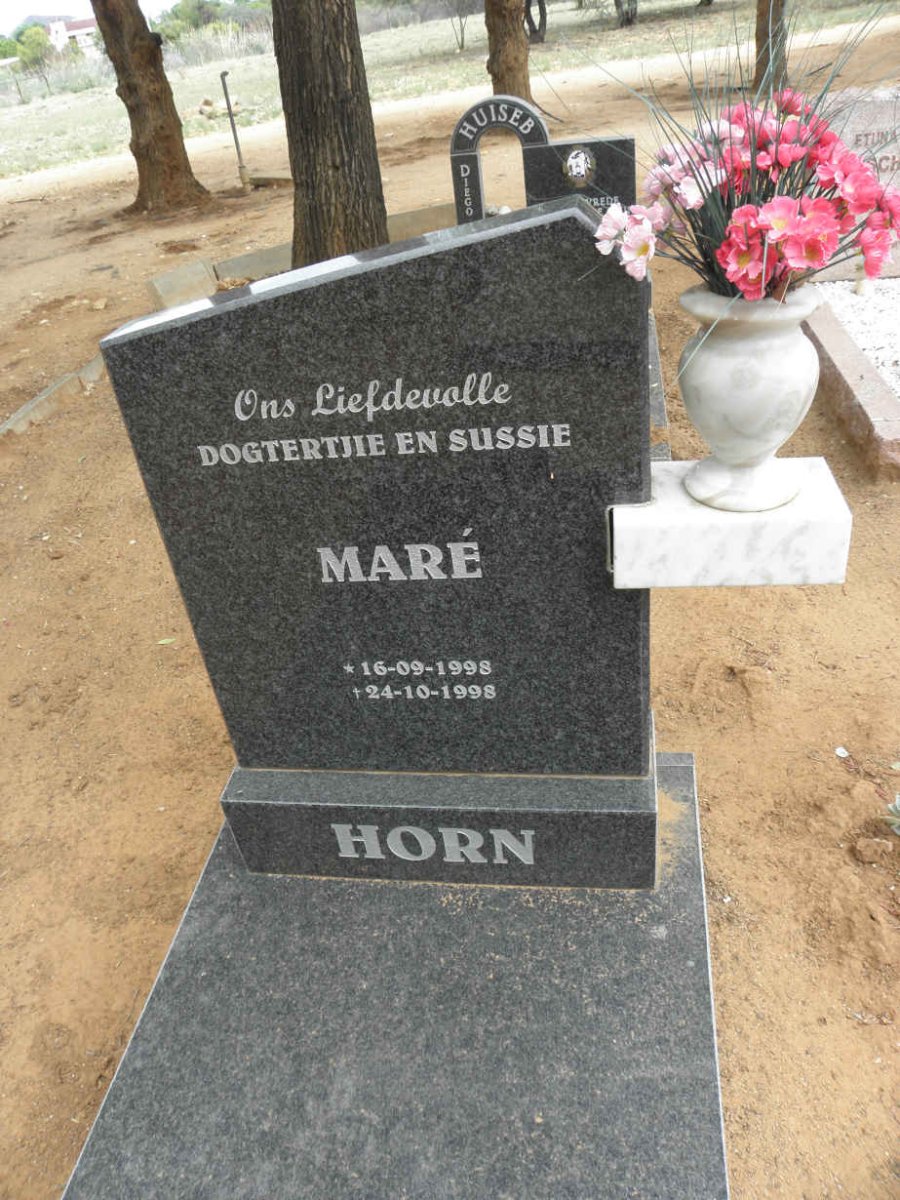 HORN Mare 1998-1998