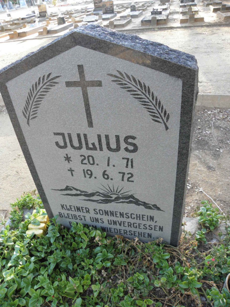 JULIUS 1971-1972