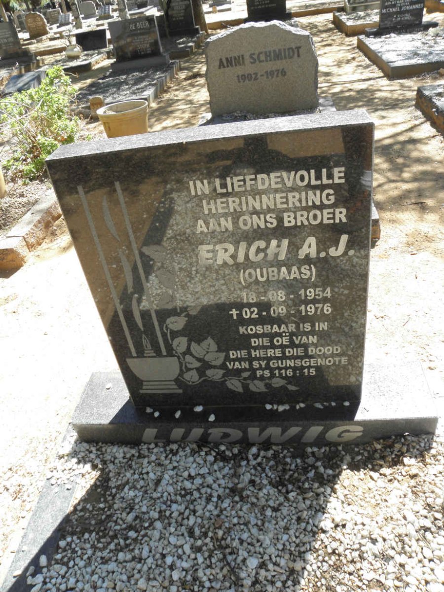 LUDWIG Erich A.J. 1954-1976