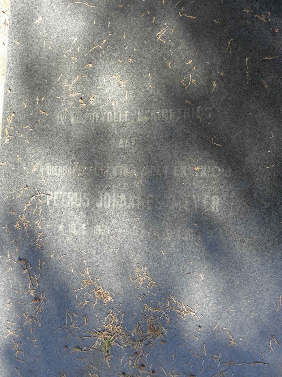 MEYER Petrus Johannes 1921-1959