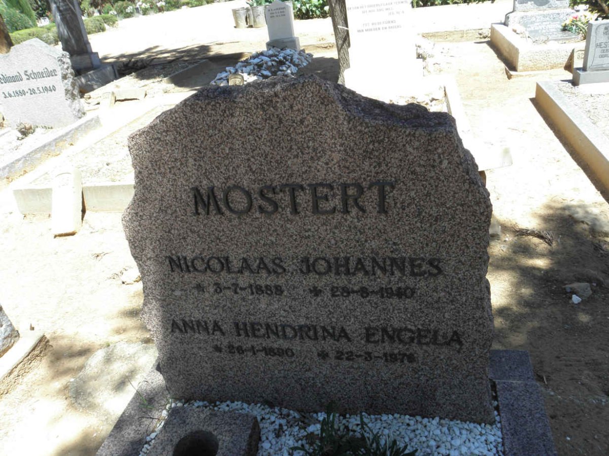MOSTERT :: VOPEL