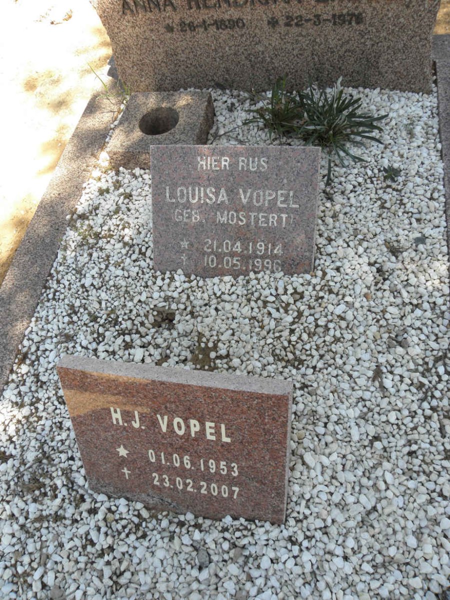 MOSTERT :: VOPEL