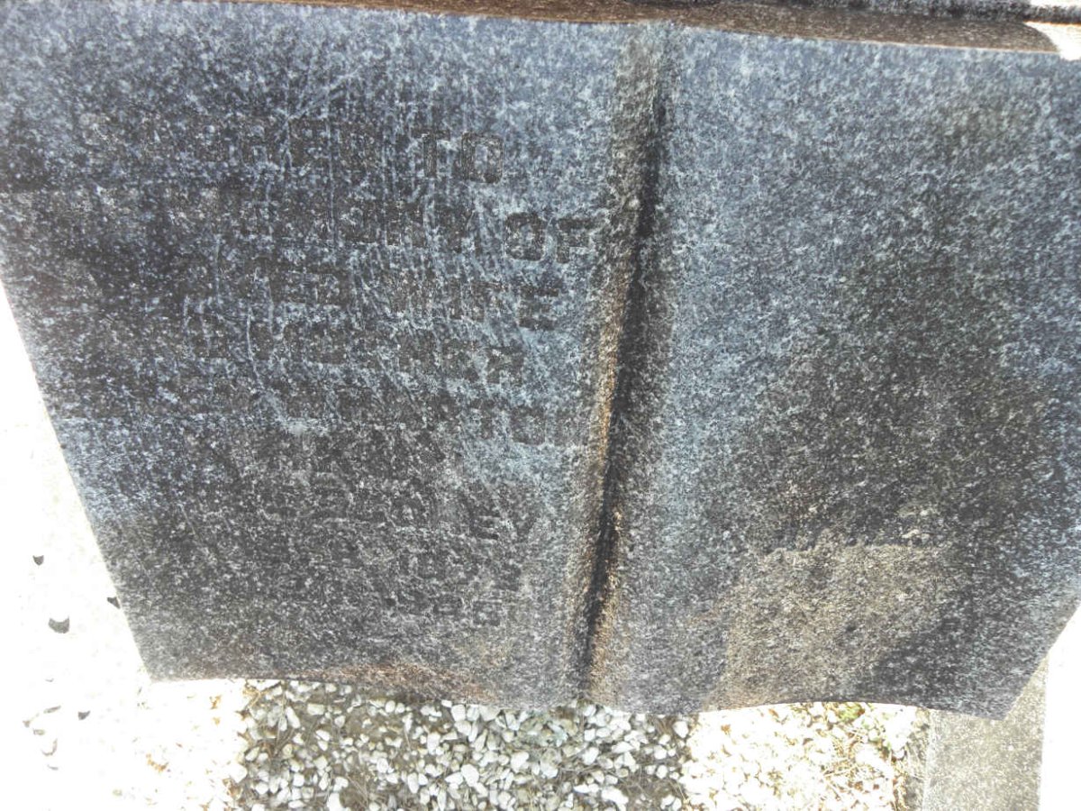 NA?ARTON ? nee SCOHEY 1872-1928