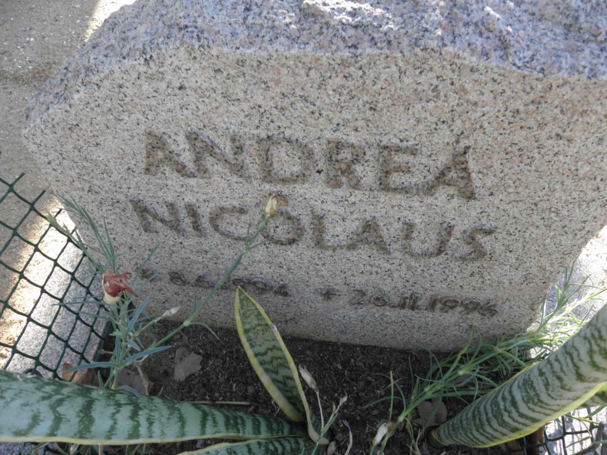 NICOLAUS Andrea 1994-1996
