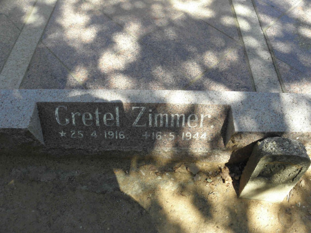 PAAPE :: ZIMMER