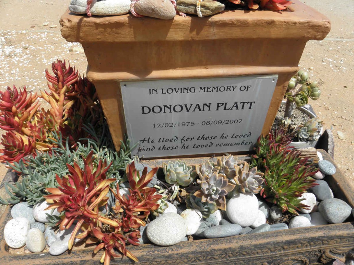 PLATT Donovan 1975-2007